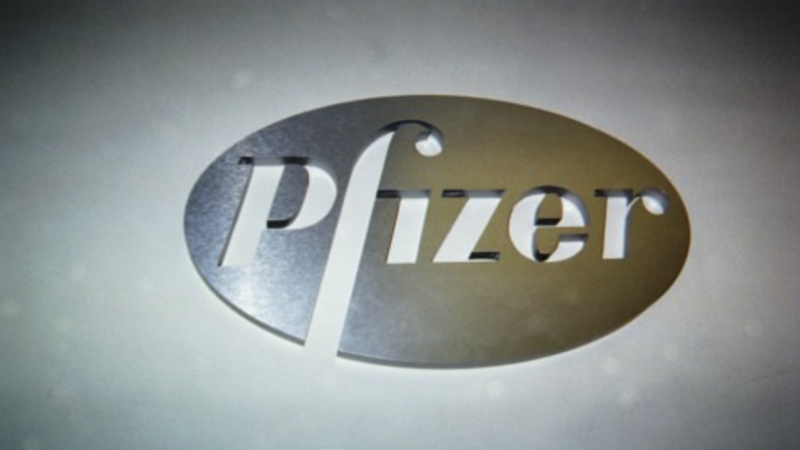 Rubio Sends Letter Demanding Answers From Pfizer Over Project Veritas Video