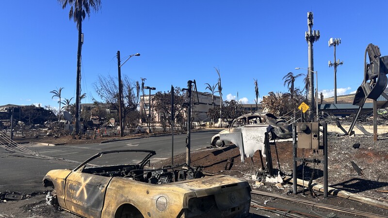 REPORT: Over 2,000 Children Missing From Lahaina Public Schools Two Weeks After Maui Fire