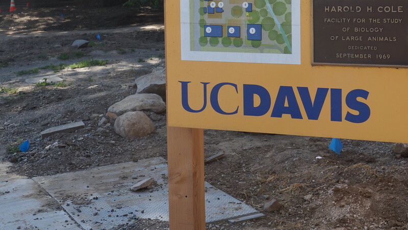 Transgender UC-Davis Professor Threatens 'Zionist Journalists,' Children