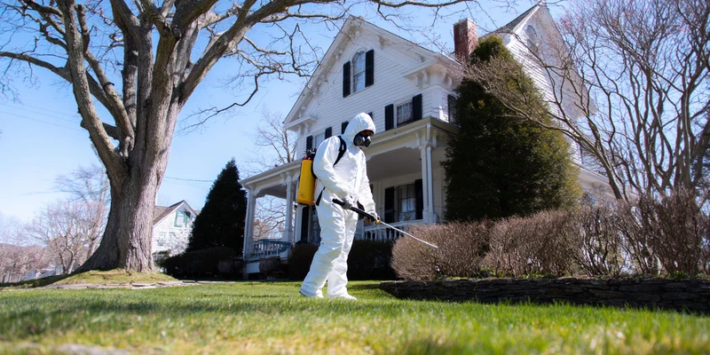 Exterminators to the Rescue: Real Stories in Bayville, NY