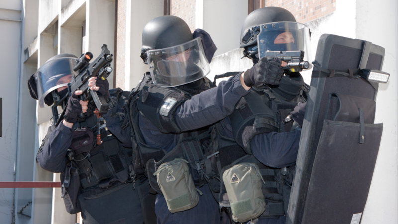 How Much Blood Would Leftists Be Willing To Shed To Disarm Patriotic Americans?