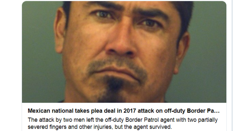 Mexican national takes plea deal in 2017 attack on off-duty Border Patrol agent