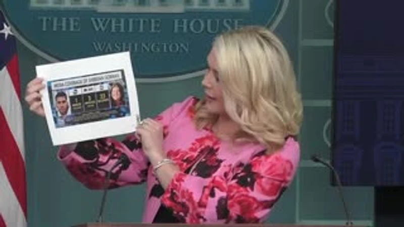 clip-thumbnail_karoline-leavitt-torches-media-to-their-faces-for-running-cover-for-illegal-alien-crime