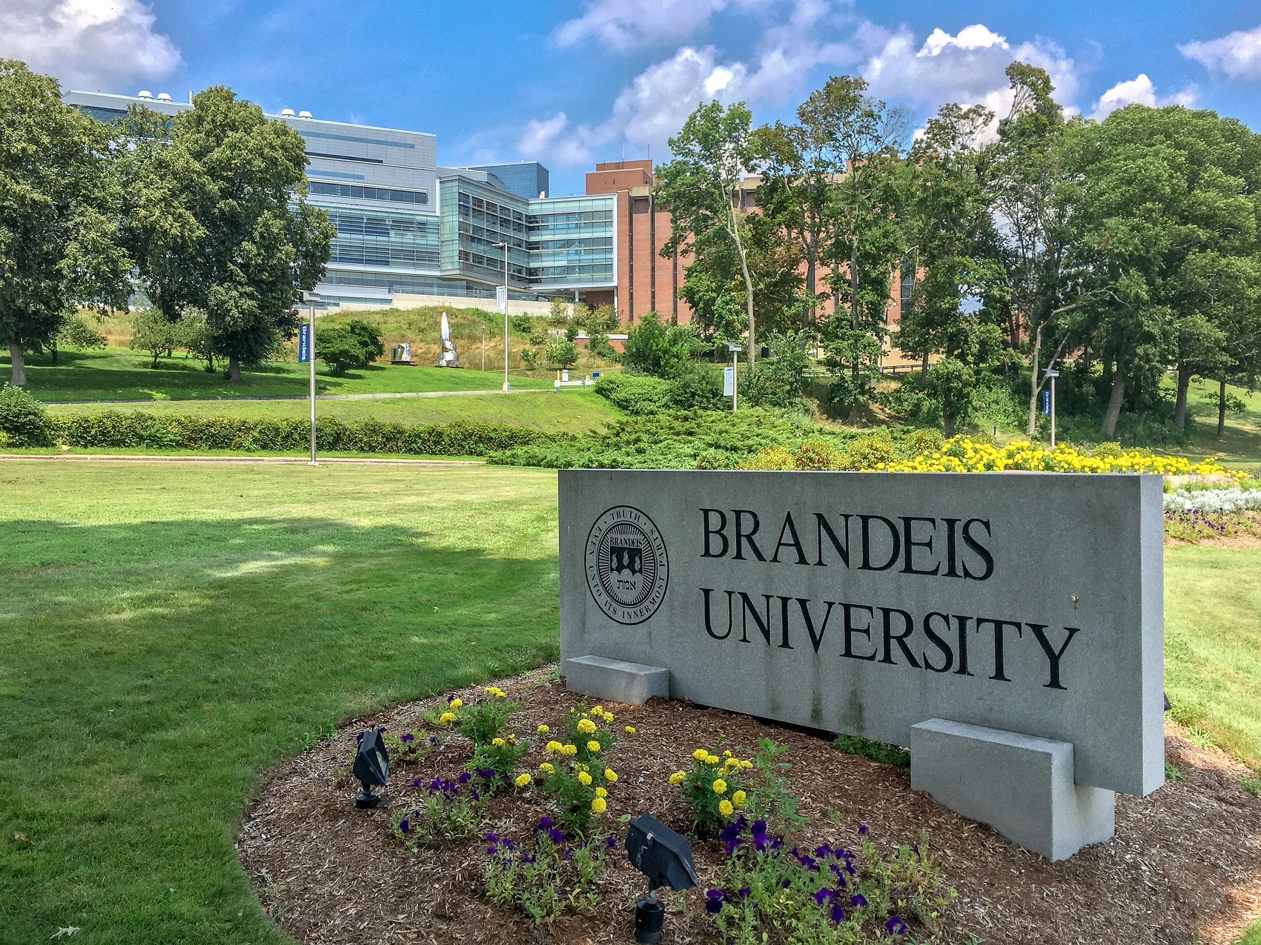 Israel-haters at Brandeis