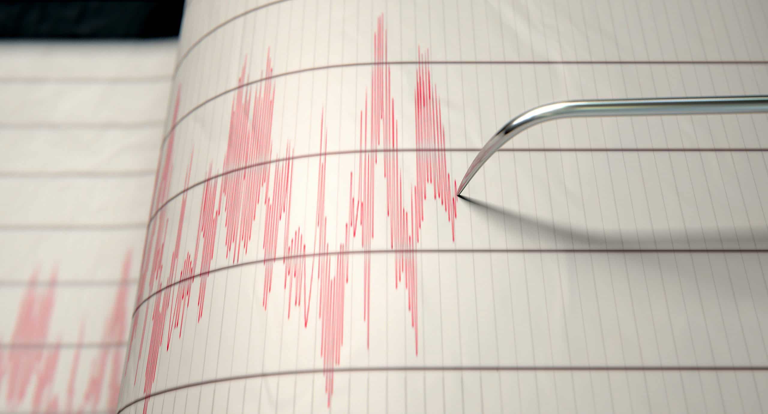 Kids not rattled by quake interrupting science exam ... on earthquakes