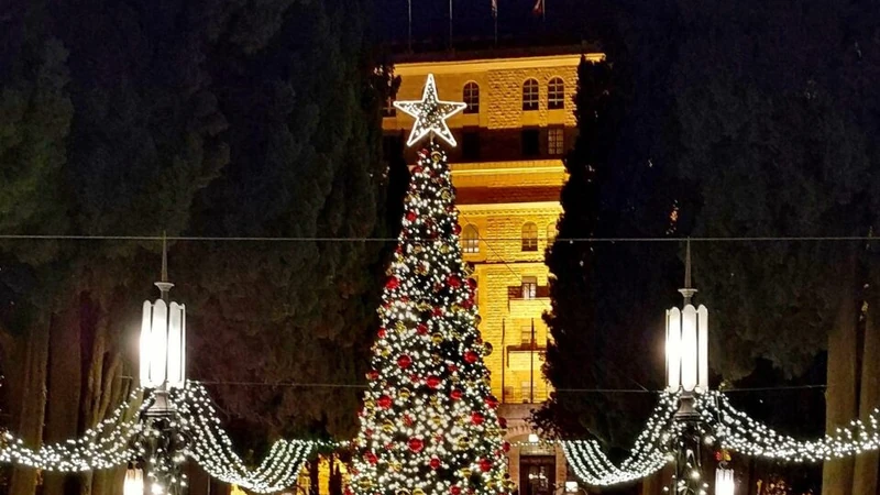 The Sacred and Secular Celebrations of Christmas and Migdal Eder