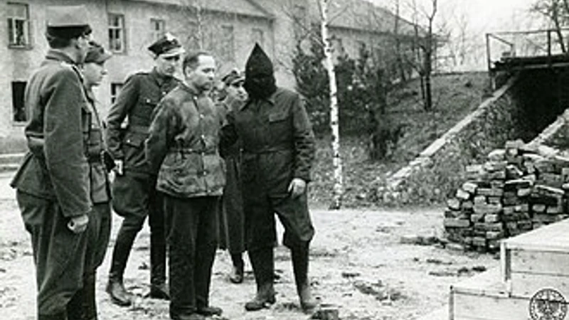 The Lie of the Shower