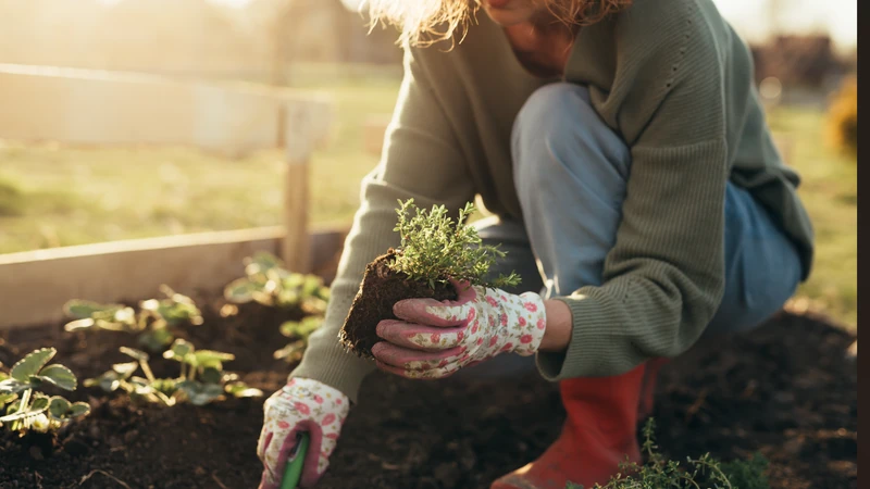 Breaking Ground for Something New