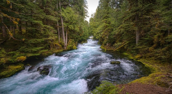 Call to Action: Secretary Rollins Opens Next Step in Recission of Forest Service ‘Roadless’ Rule