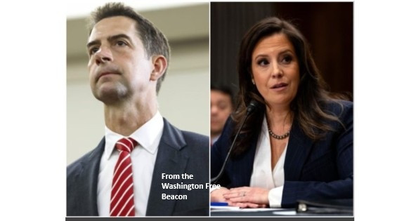 Stefanik And Cotton Strike At The Heart Of The Islamization Of America