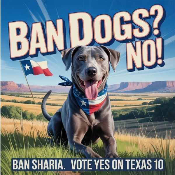 Early Voting Starts In Texas: Conservatives Must Vote YES On Proposition 10 To Ban Sharia