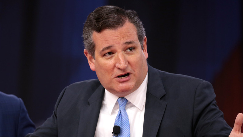 Ted Cruz shuts down Kaitlan Collins after she claims 'we don't have a motive yet' in Charlie Kirk assassination