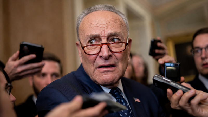 Schumer Under Fire: Dem Senator Calls for New Leadership