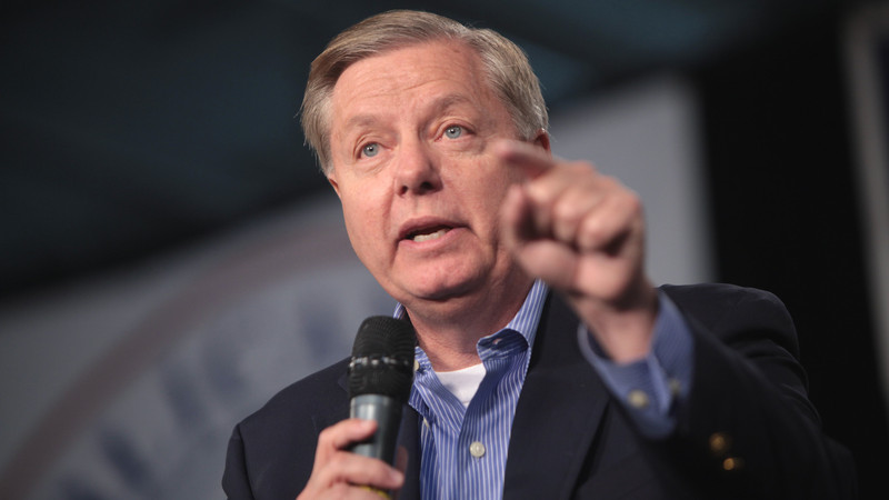 South Carolina GOP Senate Race Heats Up as Conservatives Vie to Replace Lindsey Graham