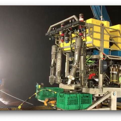 Titan submersible implosion causing 5 deaths was 'preventable': Coast Guard investigation