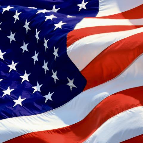 Multiple GOP congressional offices reportedly given US flags with embedded swastika