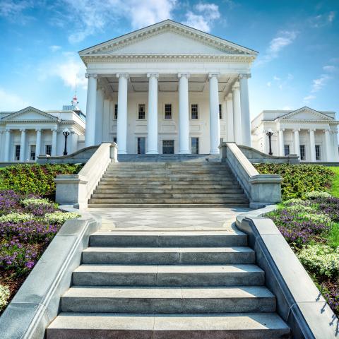 Virginia state Democratic lawmaker introduces bill to ban law enforcement from wearing masks