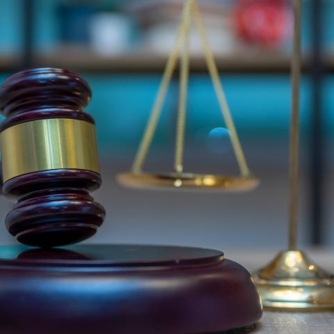 America First Legal wins case against Fairfax County Public Schools over boys in girls' bathrooms