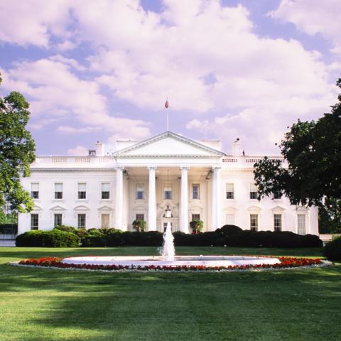 Trump creates task forces to probe security risks from price fixing in American food supply chain