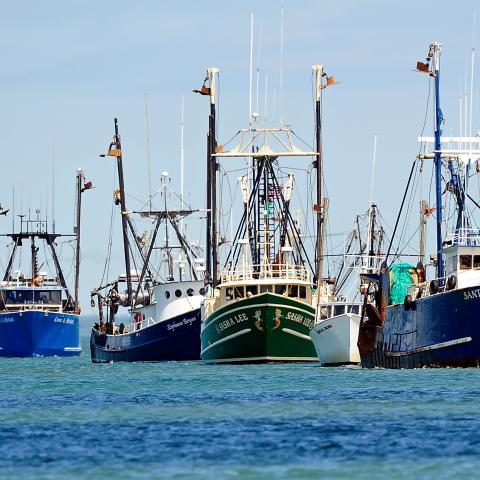 Trump signs proclamation to 'unleash commercial fishing in the Atlantic,' ending Obama-era rules