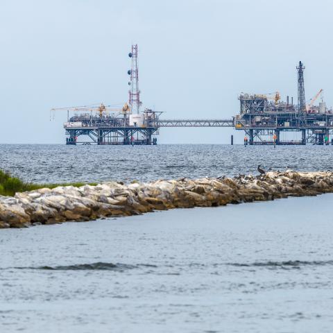 Enviro groups sue to block deep-water drilling project in Gulf, warns of Deepwater Horizon 'sequel'