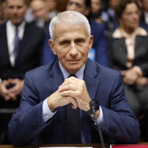 Fauci dairy shows he ate up press attention as he grew disdainful toward Trump: 'very dangerous man'