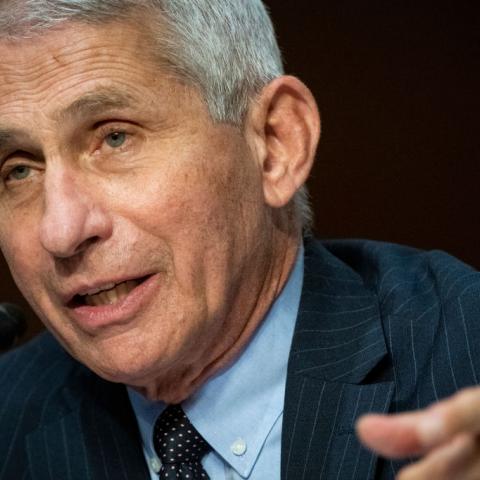 Trump said he opposed Fauci's plan to shut down the country for COVID: 'His ideas were CRAZY!'