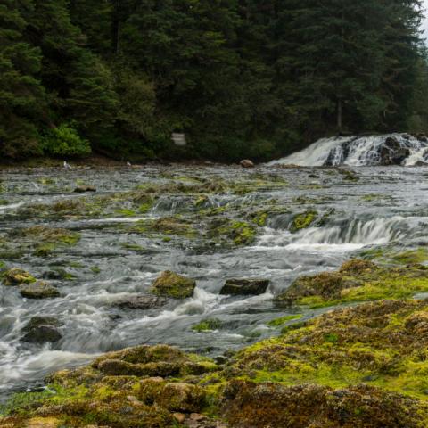 Charter plane crash kills eight in remote part of western Alaska, military says