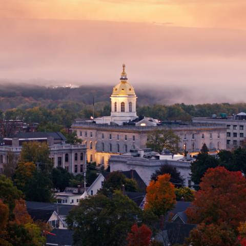 New Hampshire voters pick nominees in crowded races following incumbents' departures