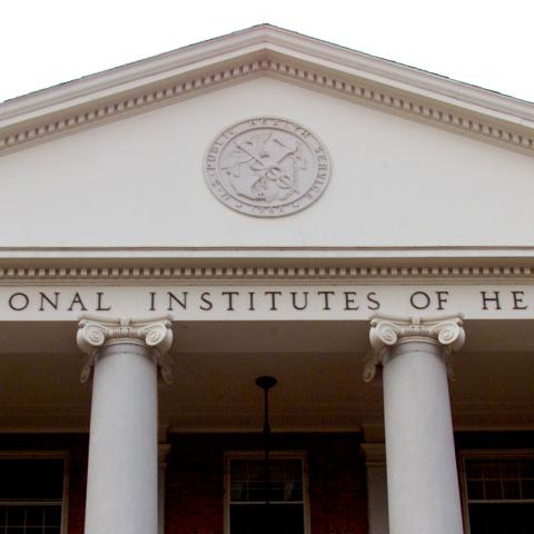 Almost all donations from NIH employees go to Democrats: analysis