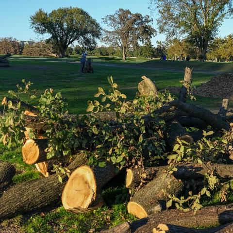 Trump posts photos of 'trash island' D.C. golf course after court hearing