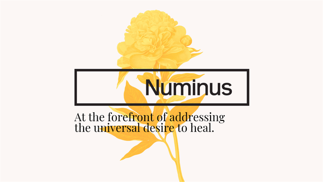 Dr. Evan Wood, recognized leader in the field of substance use research and treatment, joins Numinus as Chief Medical Officer