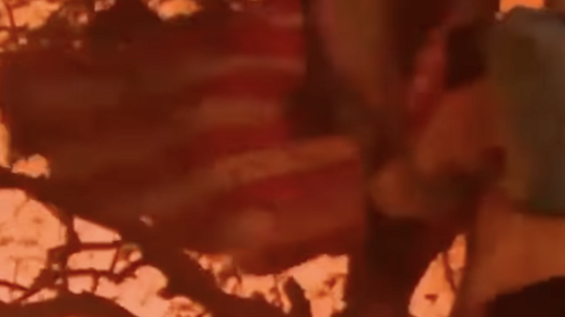 Firefighter saves American flag during California fires