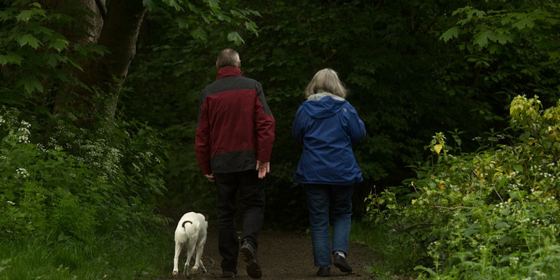 IRS reveals updated retirement contribution limits for 2026