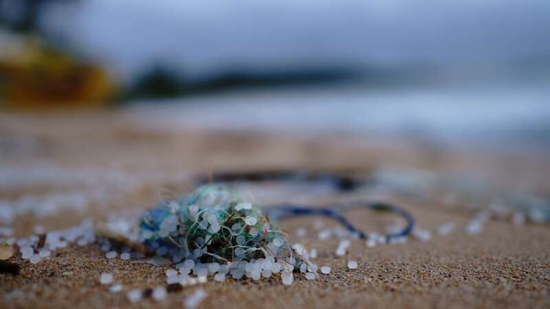 7 Places Microplastics Are Hiding in Your Kitchen and Potentially Entering Your Body 
