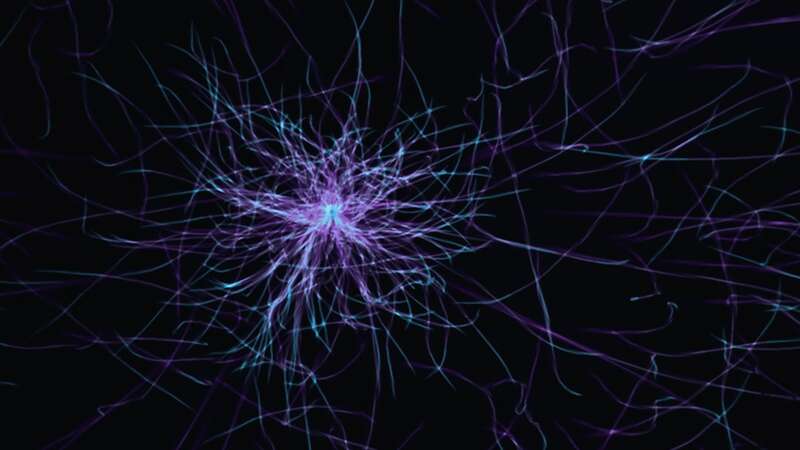 Scientists detect sleep-like brain pulsations in awake individuals with narcolepsy