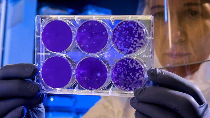 How a common antibiotic fuels bacterial resistance