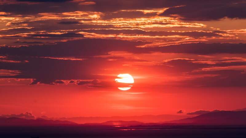 BEAT THE HEAT: Your guide to staying safe this summer