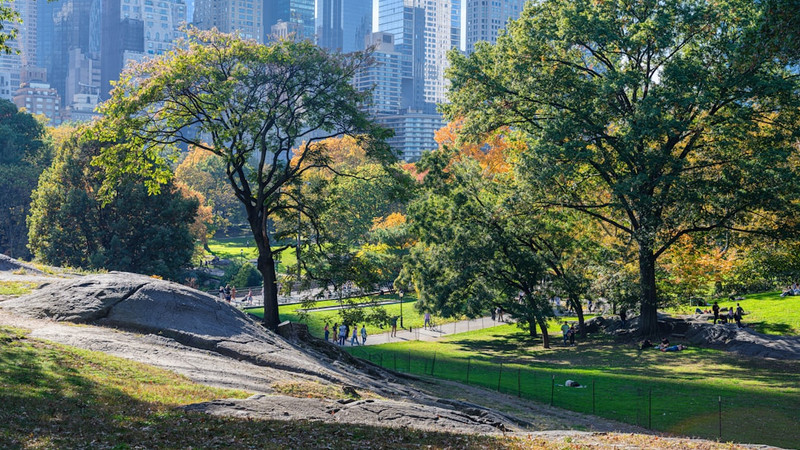The Healing Power of Nature: How Green Spaces Boost Mental Wellbeing