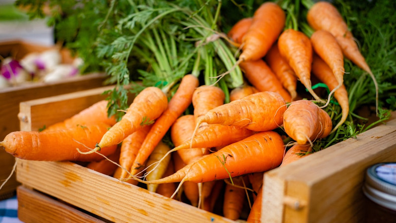 Carrots: A versatile superfood for nutrition and disease prevention