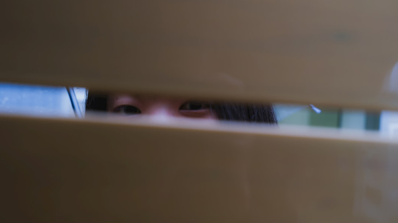 Risk for Incident CVD Increased for Women Who Reported Experiencing Stalking