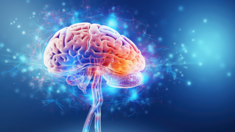 Your Brain Does Something Surprising When You Don’t Sleep — And It Sacrifices Focus to Survive