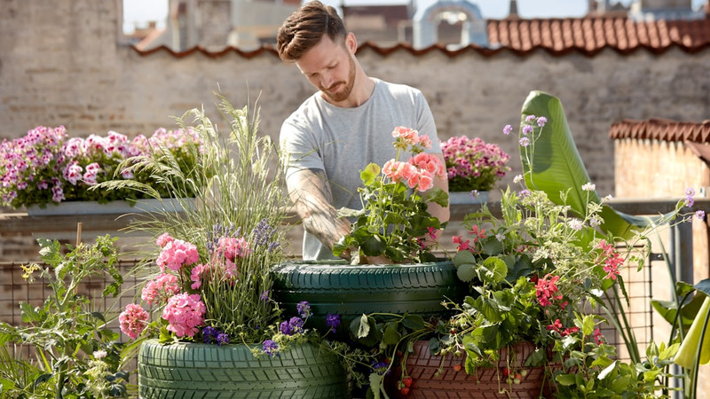 The inextricable link between gardening and happiness