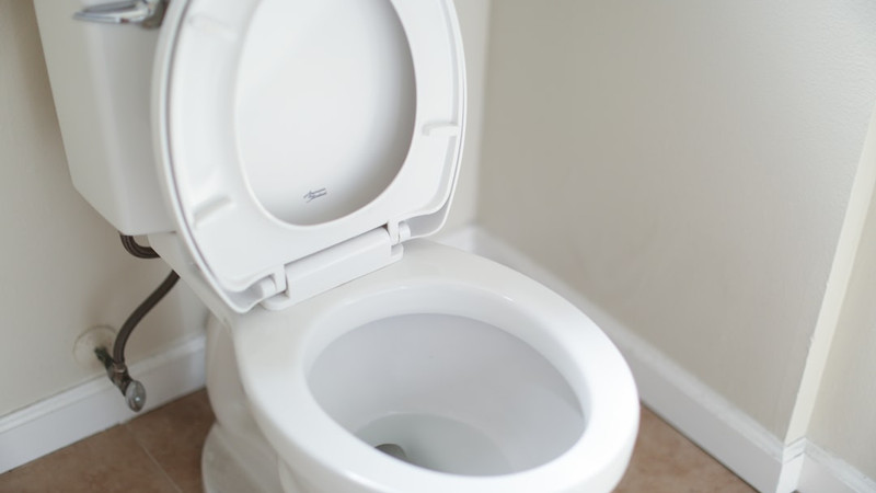 Toilet tech is the next frontier of health data — but it might mean putting a camera on your bowl