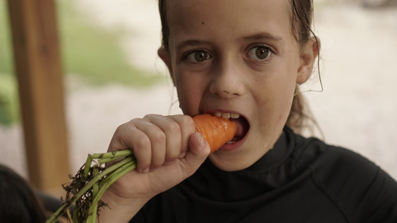 Scientists Found a Remarkable Way to Help Kids Like Vegetables