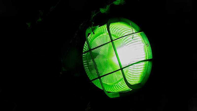 What Is Green Light Therapy for Skin? Experts Break It Down.