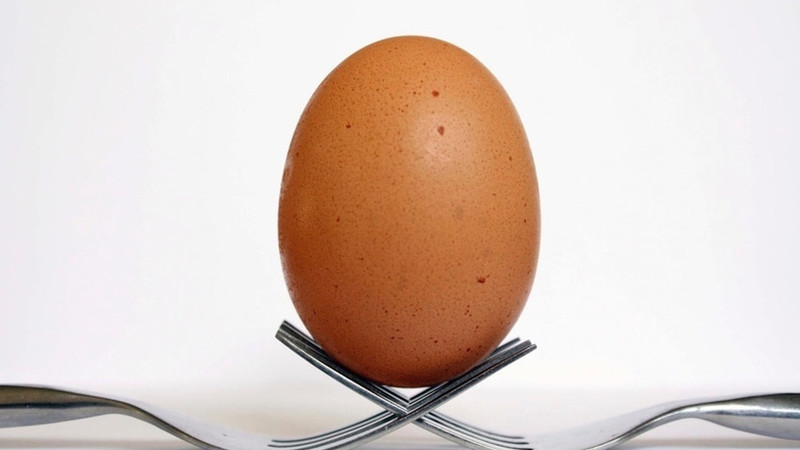 Eating Eggs May Lower Your Risk Of Cognitive Decline, Research Says