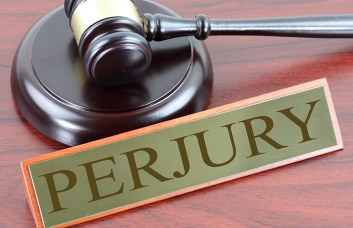 VFAF calls for Virginia DCJS prosecution of perjury cases as studies show 19,734,000 criminal acts of perjury committed each year.