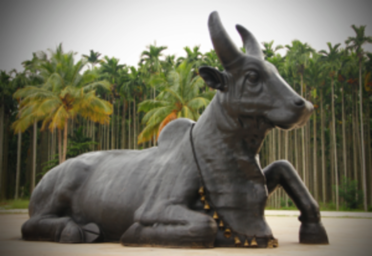 Romulus Report: A waning bull market
