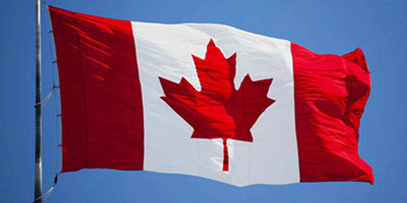 But it's free: In Canada, a 13-month wait for MRI to check for brain tumor